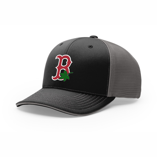 4024 R_P FLEX FIT CAP 172