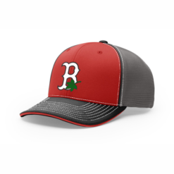 4024 R_P FLEX FIT CAP 172