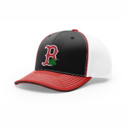 4024 R_P FLEX FIT CAP 172