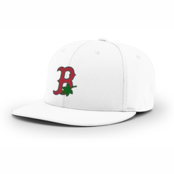 4024 R_P FLEX FIT CAP PTS20