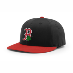 4024 R_P FLEX FIT CAP PTS30