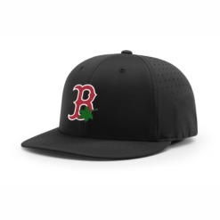 4024 R_P FLEX FIT CAP PTS30