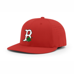 4024 R_P FLEX FIT CAP PTS30