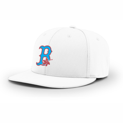 4024 R_P FLEX FIT CAP PTS20