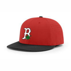 4024 R_P FLEX FIT CAP PTS30