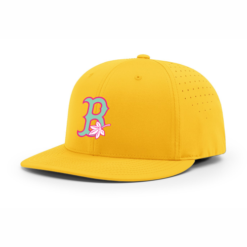 4024 R_P FLEX FIT CAP PTS20