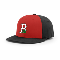 4024 R_P FLEX FIT CAP PTS30