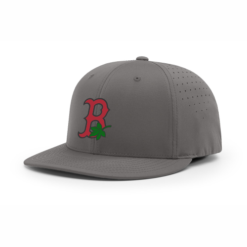 4024 R_P FLEX FIT CAP PTS30