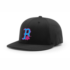 4024 R_P FLEX FIT CAP PTS30