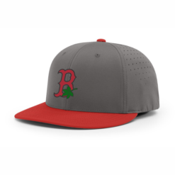 4024 R_P FLEX FIT CAP PTS30