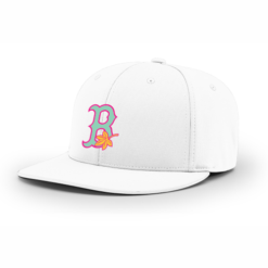 4024 R_P FLEX FIT CAP PTS20