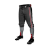 4024 MENS BASEBALL KNICKER PANT BASEBALL-BUCKEYE-ELITE-2-TONE-2