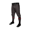 4024 MENS BASEBALL KNICKER PANT BASEBALL-BUCKEYE-ELITE-DARK-PIN-1