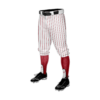 4024 MENS BASEBALL KNICKER PANT BASEBALL-BUCKEYE-ELITE-PIN-2