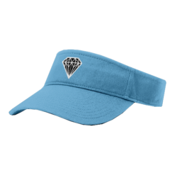 4040 RICHARDSON R160 VISOR OHIO-DIAMONDS-2