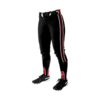3225 WOMENS FASTPITCH PANTS JACKSON-FP-1