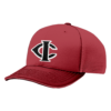 4042 R_P FLEX FIT CAP 172 JACKSON-BATS-1