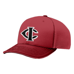 4042 R_P FLEX FIT CAP 172 JACKSON-BATS-1