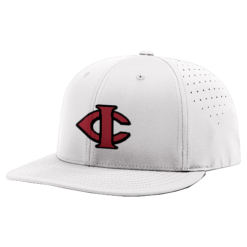 4042 R_P FLEX FIT CAP PTS30 JACKSON-BATS-1