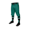 4036 MENS BASEBALL KNICKER PANT HOCKING-THUNDER-BASEBALL-2