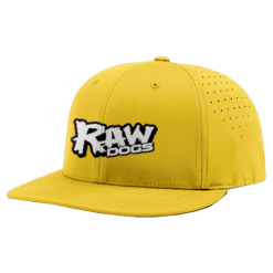 3443 R_P FLEX FIT CAP PTS30 RAW-DOGS-1