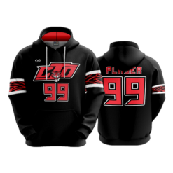 2573 UNISEX FLEECE HOODY