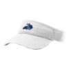 3732 RICHARDSON R160 VISOR KY-LEGACY-3