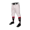 4042 MENS BASEBALL KNICKER PANT JACKSON-BATS-2