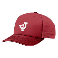 4047 R_P FLEX FIT CAP 172 JACKSON-IRONLADIES