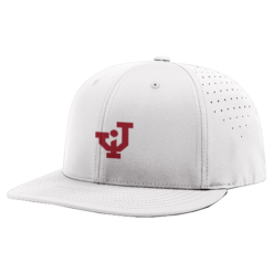 4047 R_P FLEX FIT CAP PTS30 JACKSON-IRONLADIES