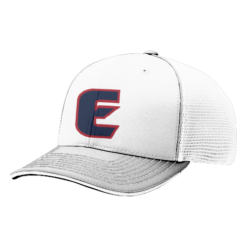 4046 R_P FLEX FIT CAP 172 EVANSTON-ELITE-1