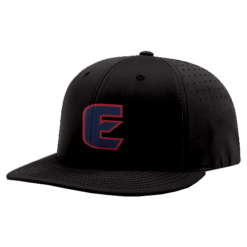 4046 R_P FLEX FIT CAP PTS30 EVANSTON-ELITE-1