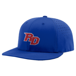 3509 R_P FLEX FIT CAP PTS30 RICHMOND-DALE-1