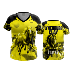 4055 WOMENS V NECK LYNCHBURG-CLAY