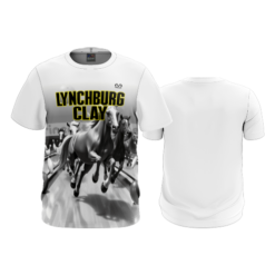 4055 MENS SPIRIT CREW NECK LYNCHBURG-CLAY
