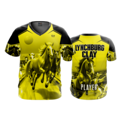 4055 MENS SPORT V NECK LYNCHBURG-CLAY