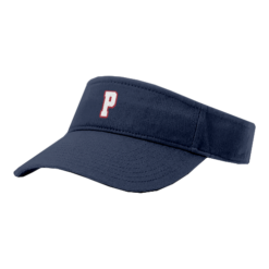 3317 RICHARDSON R160 VISOR MOV-PREMIER-3