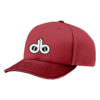 4054 R_P FLEX FIT CAP 172 DIRTBAGS-1