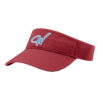 3983 RICHARDSON R160 VISOR WARHAWKS-1