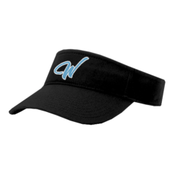 3983 RICHARDSON R160 VISOR WARHAWKS-2