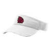 4060 RICHARDSON R160 VISOR RAIDERS-2