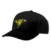 3185 R_P FLEX FIT CAP 172 POST-142-SHOCKERS-1