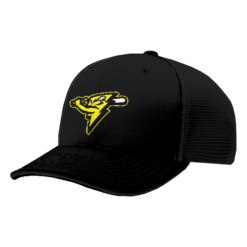 3185 R_P FLEX FIT CAP 172 POST-142-SHOCKERS-1