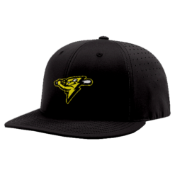 3185 R_P FLEX FIT CAP PTS30 POST-142-SHOCKERS-1