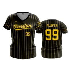 4072 WOMENS V NECK PASSION-2