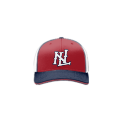 4109 R_P FLEX FIT CAP 172 NEXT-LEVEL-FP-4