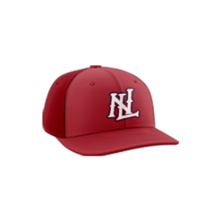 4109 R_P FLEX FIT CAP PTS30 NEXT-LEVEL-FP-4