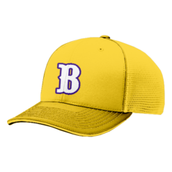 2682 R_P FLEX FIT CAP 172 B-AND-H-TOWING-25-1