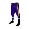 2682 MENS BASEBALL KNICKER PANT B-AND-H-TOWING-25-1
