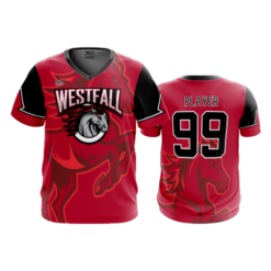 4076 MENS SPORT V NECK WESTFALL-1